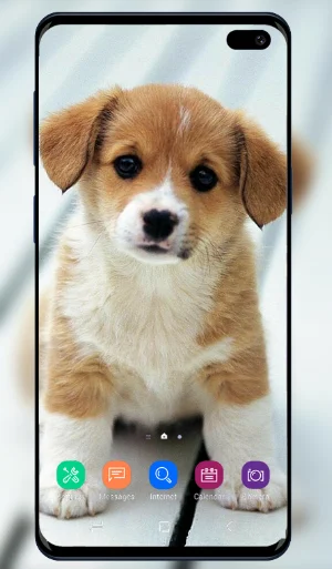 Puppy Wallpaper Screenshot 2