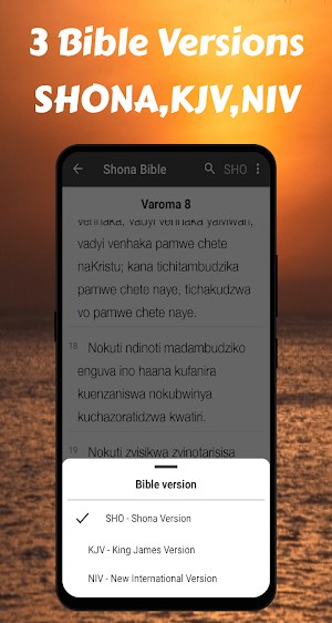 Shona Bible -SHONA + KJV + NIV Screenshot 1