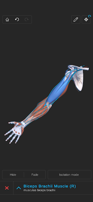 Visual Anatomy 3D - Human body screenshot 8