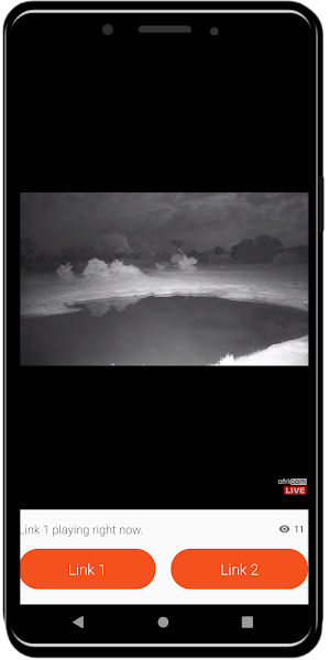 AfriCam Nature Webcams Screenshot 3
