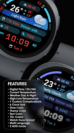 PRADO 96 Weather Watch Face Screenshot 2