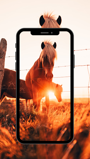 Horse wallpaper HD Screenshot 0