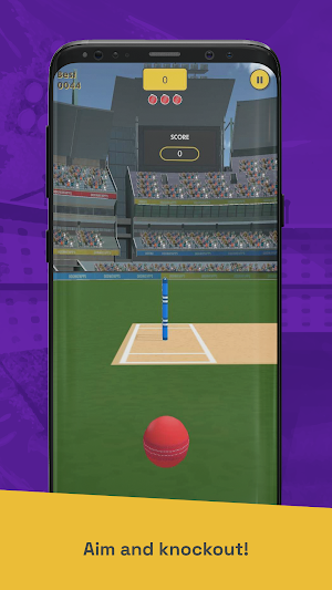 Run Out Champ: Hit Wicket Game Screenshot 3