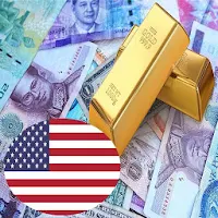 currency & Gold Price in United States