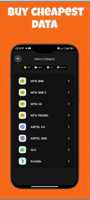 RGCDATA | CHEAP DATA Screenshot 1