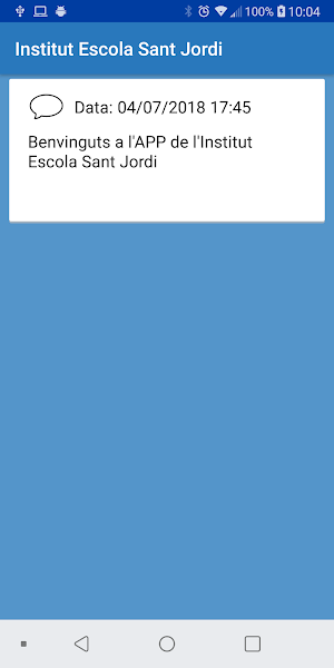 Institut Escola Sant Jordi Screenshot 2