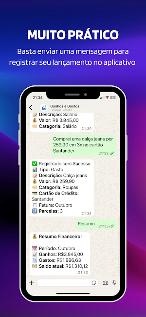 Ganhos e Gastos Screenshot 1