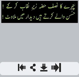 Deedar Urdu Shayari Screenshot 1