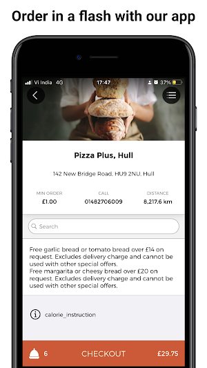 Pizza Plus, Hull Screenshot 0