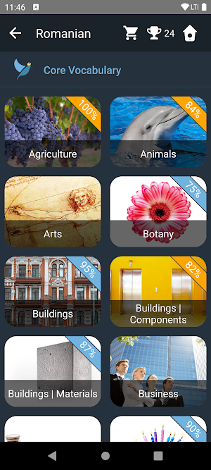 Romanian Language Tests Screenshot 1