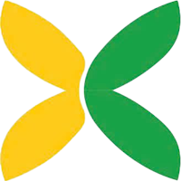 NNX Partner