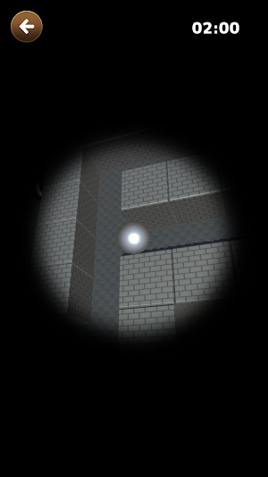 Maze Ball Random Screenshot 2