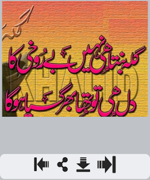 Gilla Shayari Screenshot 1