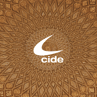 CONGRESO CIDE TOLEDO 2024