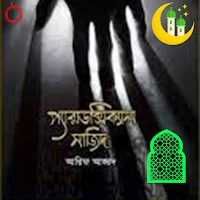 paradoxical sajid-আরিফ আজাদ