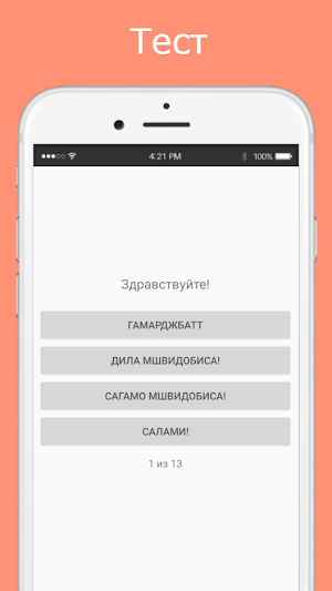 Русско-грузинский разговорник Screenshot 2