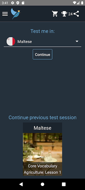 Maltese Language Tests Screenshot 0