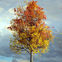 Autumn Maple Live Wallpaper PRO