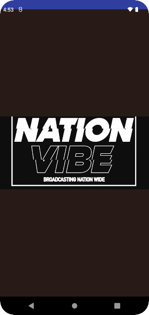 nationvibe radio Screenshot 0
