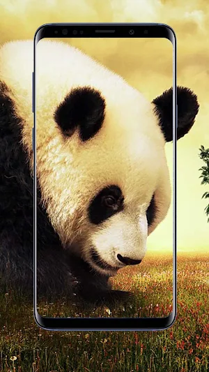 Panda Wallpapers Screenshot 1