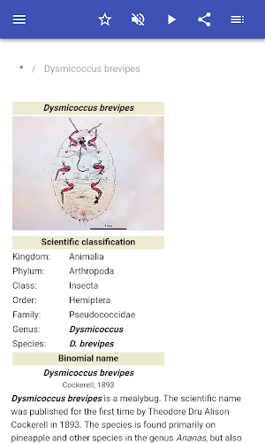 Insect pests Screenshot 1