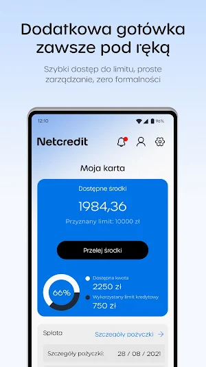 Netcredit Screenshot 0
