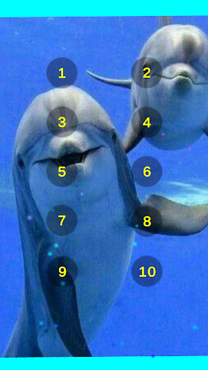 Dolphin Sounds Of The Sea Screenshot 0