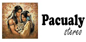 Pacualy Stereo Screenshot 0