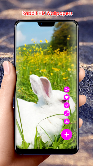 Rabbit HD Wallpapers Screenshot 0