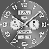 Silver Gray Quartz ZKin Watch