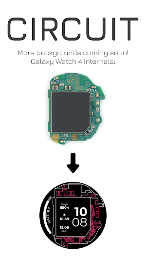 Circuit: Wear OS Watch Face Screenshot 1
