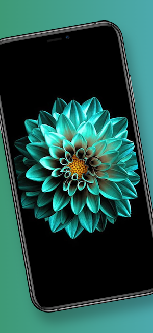 Rose Floral Wallpapers Screenshot 3