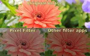 Pixel Filter Screenshot 3