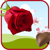 Flowers Images Greetings