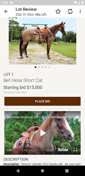 Dan Post Quarter Horse Auction Screenshot 2