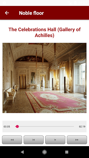 Palazzo Milzetti Screenshot 2
