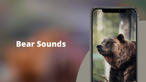 Bear Sounds Screenshot 0