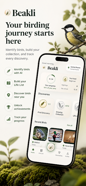 Beakli Screenshot 0