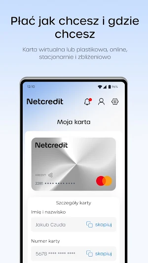 Netcredit Screenshot 2