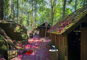 Mystery Forest House Escape Screenshot 2