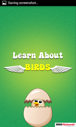 Learn Birds Name - Birds Picture & Sound Screenshot 0