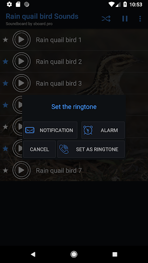 Rain quail bird Sounds ~ Sboard.pro Screenshot 2