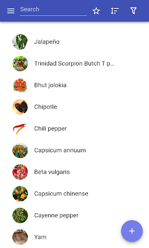 Vegetables Screenshot 0