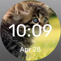 Kotofey - Watch Face