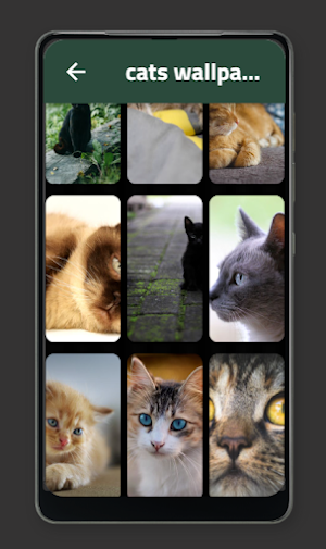 cats wallpaper Screenshot 2