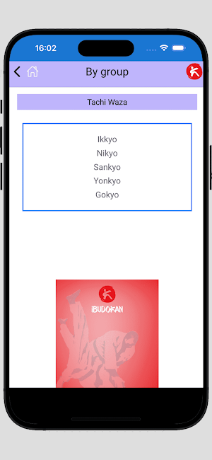 iBudokan Judo Screenshot 2