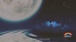 RAINBOW TELEVISION Screenshot 1