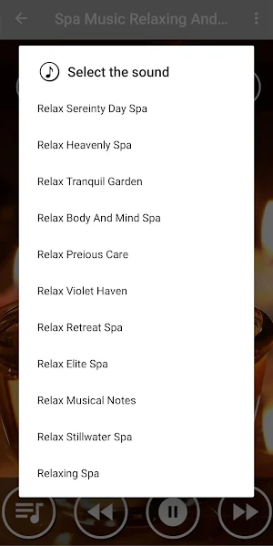 Spa Music Relaxation : Music for Stress Relief Screenshot 1