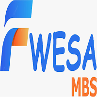Fwesa Bundles