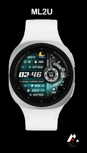 ML2U 342 Watch Face Screenshot 3